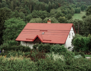 Dzikosc Orlowiec, Ladek Zdroj